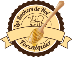 Retourner à l'accueil